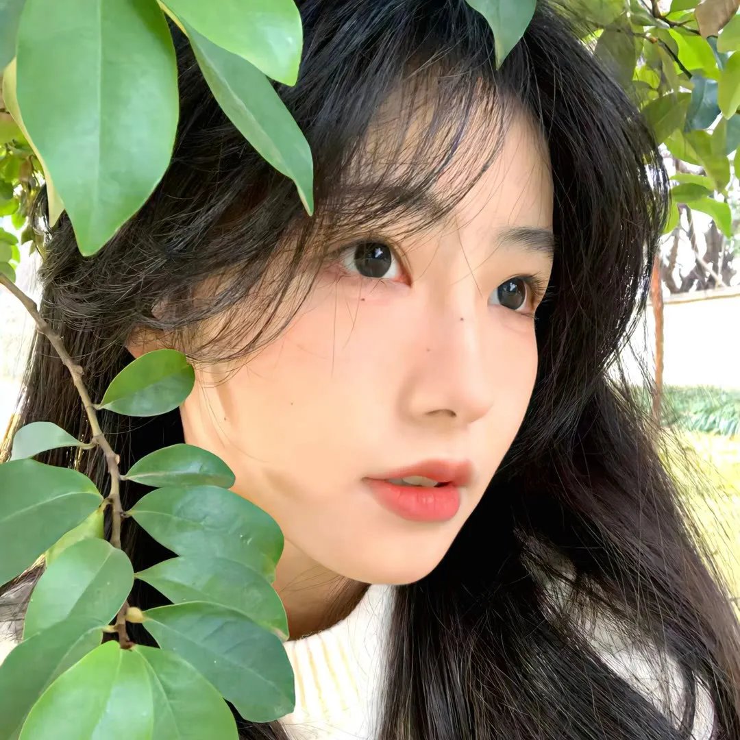 王府软萌小刺客